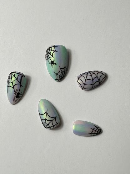 EEK..Spiders!