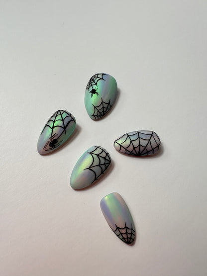 EEK..Spiders!